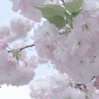 兰溪FurryQQ群介绍